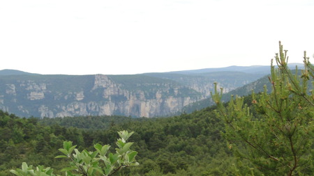 vue Gorges du Tarn